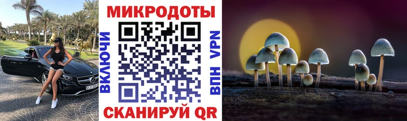 Псилоцибиновые грибы GOLDEN TEACHER  где купить   Кохма 
